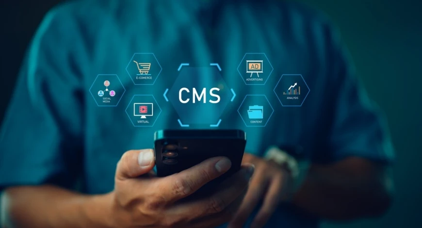 Web Development Trends: Headless CMS and Serverless Architectures