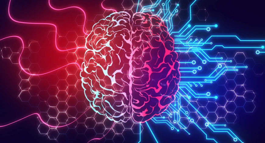 Startup Yazılımı Stratejisinde Danışman Desteğinin Faydaları