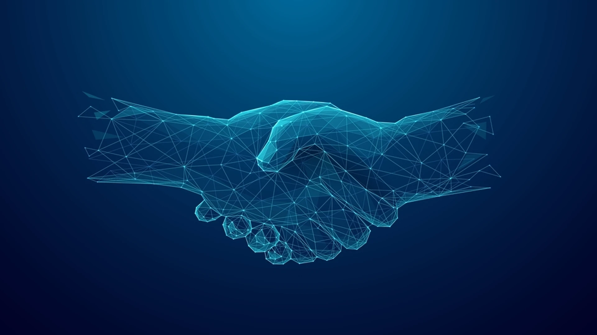Seek Connected Partners Partners - Codenected
