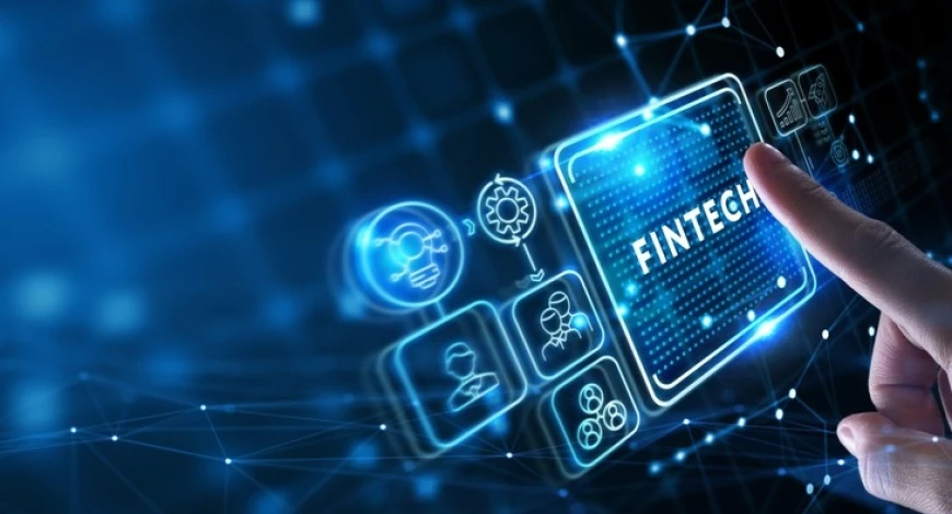 The Role of Software Companies and Innovative Solutions in the FinTech World